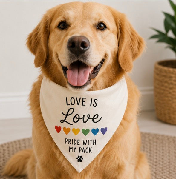 Dog Bandana - Pride Pack