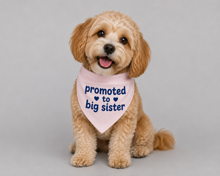 For the Pets